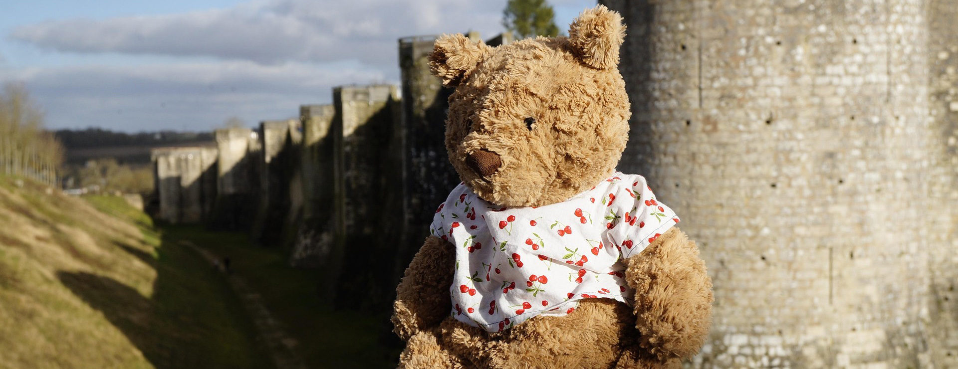 Baby Products Shop -Baby Products Shop teddy bear 7019003 1920